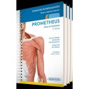 PROMETHEUS. ATLAS DE ANATOMIA. FICHAS DE AUTOEVALUACION. COLECCION 3 TOMOS