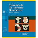 ANATOMIA DE LOS ANIMALES DOMESTICOS TOMO 1. APARATO LOCOMOTOR