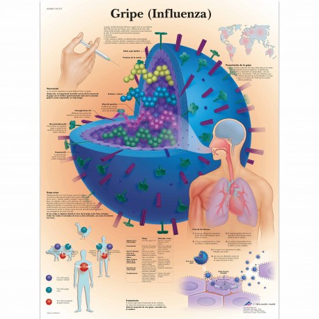 GRIPE (VR-3722)