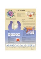 VIH Y SIDA (VR-3725)