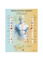 SISTEMA NERVIOSO VEGETATIVO (VR-3610)