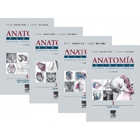 LOTE ROUVIERE ANATOMIA HUMANA, 4 VOLS.