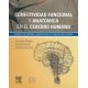 CONECTIVIDAD FUNCIONAL Y ANATOMICA DEL CEREBRO HUMANO