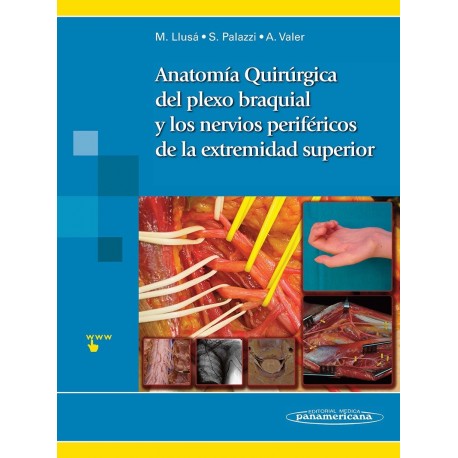ANATOMIA QUIRURGICA DEL PLEXO BRAQUIAL Y DE LOS NERVIOS PERIFERICOS DE LA EXTREMIDAD SUPERIOR
