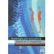 FISIOTERAPIA PARA LA ESCOLIOSIS BASADA EN EL DIAGNOSTICO