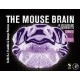 THE MOUSE BRAIN IN STEREOTAXIC COORDINATES