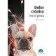 DOLOR CRONICO EN EL PERRO