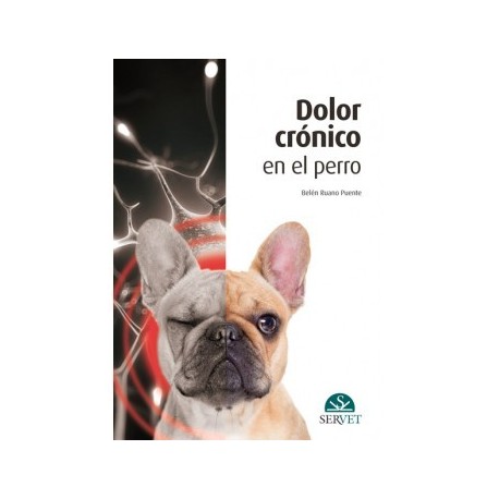 DOLOR CRONICO EN EL PERRO