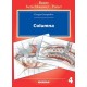 CIRUGIA ORTOPEDICA 4 COLUMNA