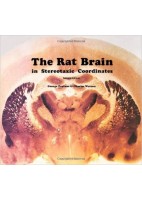 THE RAT BRAIN