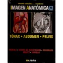 IMAGEN ANATOMICA. TORAX - ABDOMEN - PELVIS