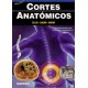 CORTES ANATOMICOS