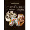 CARTILAGO ARTICULAR DE LA RODILLA