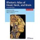 RHOTON'S ATLAS OF HEAD, NECK AND BRAIN. 2D AND 3D IMAGES