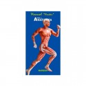ATLAS DE ANATOMIA. MANUAL MASTER