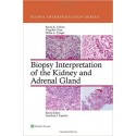 BIOPSY INTERPRETATION OF THE KIDNEY AND ADRENAL GLAND
