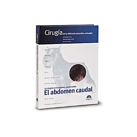 CIRUGIA EN LA CLINICA DE PEQUEÑOS ANIMALES. EL ABDOMEN CAUDAL