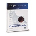 CIRUGIA EN LA CLINICA DE PEQUEÑOS ANIMALES. EL ABDOMEN CAUDAL