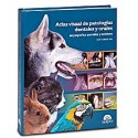 ATLAS VISUAL DE PATOLOGIAS DENTALES Y ORALES EN PEQUEÃ OS ANIMALES Y EXOTICOS
