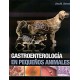 GASTROENTEROLOGIA EN PEQUEÃ OS ANIMALES