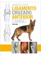 AVANCES EN EL LIGAMENTO CRUZADO ANTERIOR CANINO