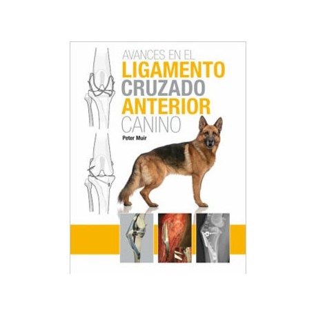 AVANCES EN EL LIGAMENTO CRUZADO ANTERIOR CANINO
