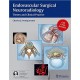 ENDOVASCULAR SURGICAL NEURORADIOLOGY. THEORY AND CLINICAL PRACTICE