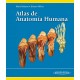 ATLAS DE ANATOMIA HUMANA