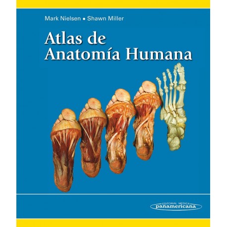ATLAS DE ANATOMIA HUMANA