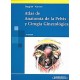 ATLAS DE ANATOMIA DE LA PELVIS Y CIRUGIA GINECOLOGICA
