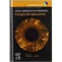 CIRUGIA DEL GLAUCOMA + DVD-ROM (TECNICAS QUIRURGICAS EN OFTALMOLOGIA)