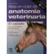 ATLAS EN COLOR DE ANATOMIA VETERINARIA. EL CABALLO
