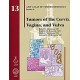 TUMORS OF THE CERVIX VAGINA AND VULVA