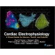 CARDIAC ELECTROPHYSIOLOGY: A VISUAL GUIDE FOR NURSES, TECHS, AND FELLOWS