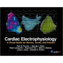 CARDIAC ELECTROPHYSIOLOGY: A VISUAL GUIDE FOR NURSES, TECHS, AND FELLOWS