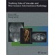 TEACHING ATLAS OF VASCULAR AND NON-VASCULAR INTERVENTIONAL RADIOLOGY
