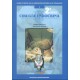CIRUGIA ENDOCRINA Nº 1 (GUIAS CLINICAS DE LA ASOCIACION ESPAÑOLA DE CIRUJANOS)