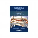 CADERA (TOMO 1) OSTEONECROSIS ABORDAJES INJERTO OSEO DESGASTE