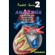 POCKET-BASIC 2 ANATOMIA CARDIOVASCULAR, RESPIRATORIO, DIGESTIVO, NEFROURINARIO