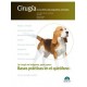 CIRUGIA EN LA CLINICA DE PEQUEÑOS ANIMALES. BASES PRACTICAS EN EL QUIROFANO