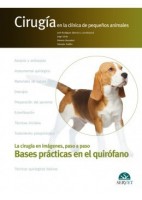 CIRUGIA EN LA CLINICA DE PEQUEÑOS ANIMALES. BASES PRACTICAS EN EL QUIROFANO