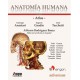ATLAS DE ANATOMIA HUMANA (VOL.2) CABEZA Y CUELLO. TORAX