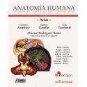 ATLAS DE ANATOMIA HUMANA (VOL.3) ABDOMEN. PELVIS Y PERINE. MIEMBRO SUPERIOR E INFERIOR. SISTEMA NERVIOSO