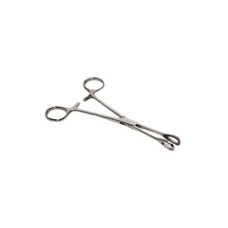 PINZA FOERSTER PORTA-ESPONJAS 24 CM RECTA