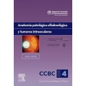 ANATOMIA PATOLOGICA OFTALMICA Y TUMORES INTRAOCULARES. 2011-2012: SECCION 4