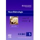 NEUROFTALMOLOGIA. 2011-2012: SECCION 5