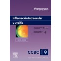 INFLAMACION INTRAOCULAR Y UVEITIS. 2011-2012: SECCION 9